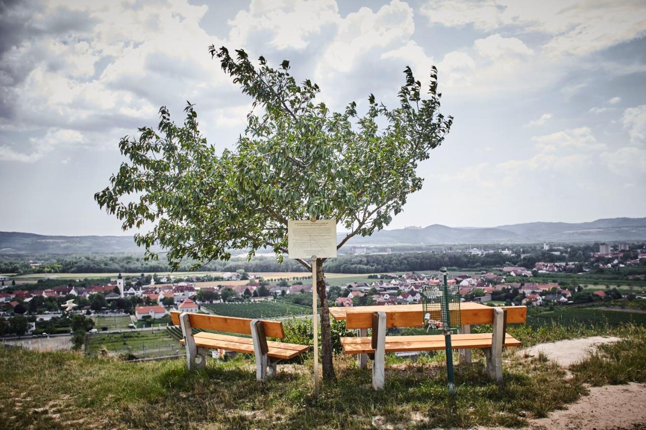 Schmankerl Und Gast Bed & Breakfast Rohrendorf bei Krems Екстериор снимка
